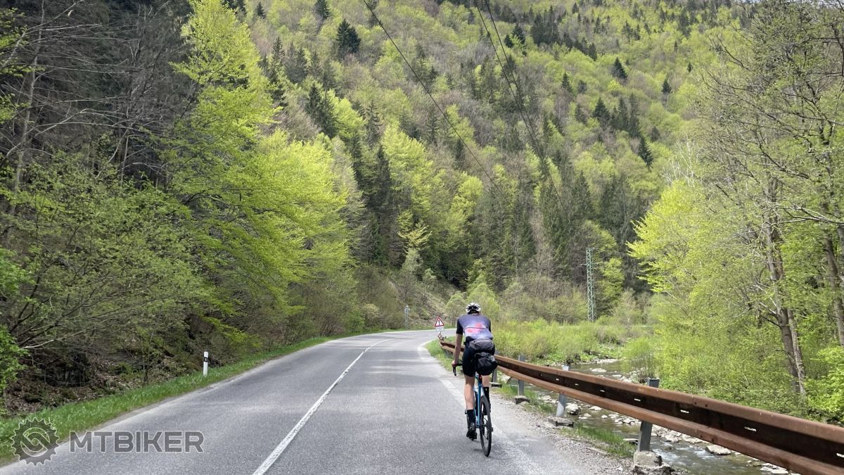 Najkrajšie scenérie na nás čakali na slovenských cestách. Cesta pri lese