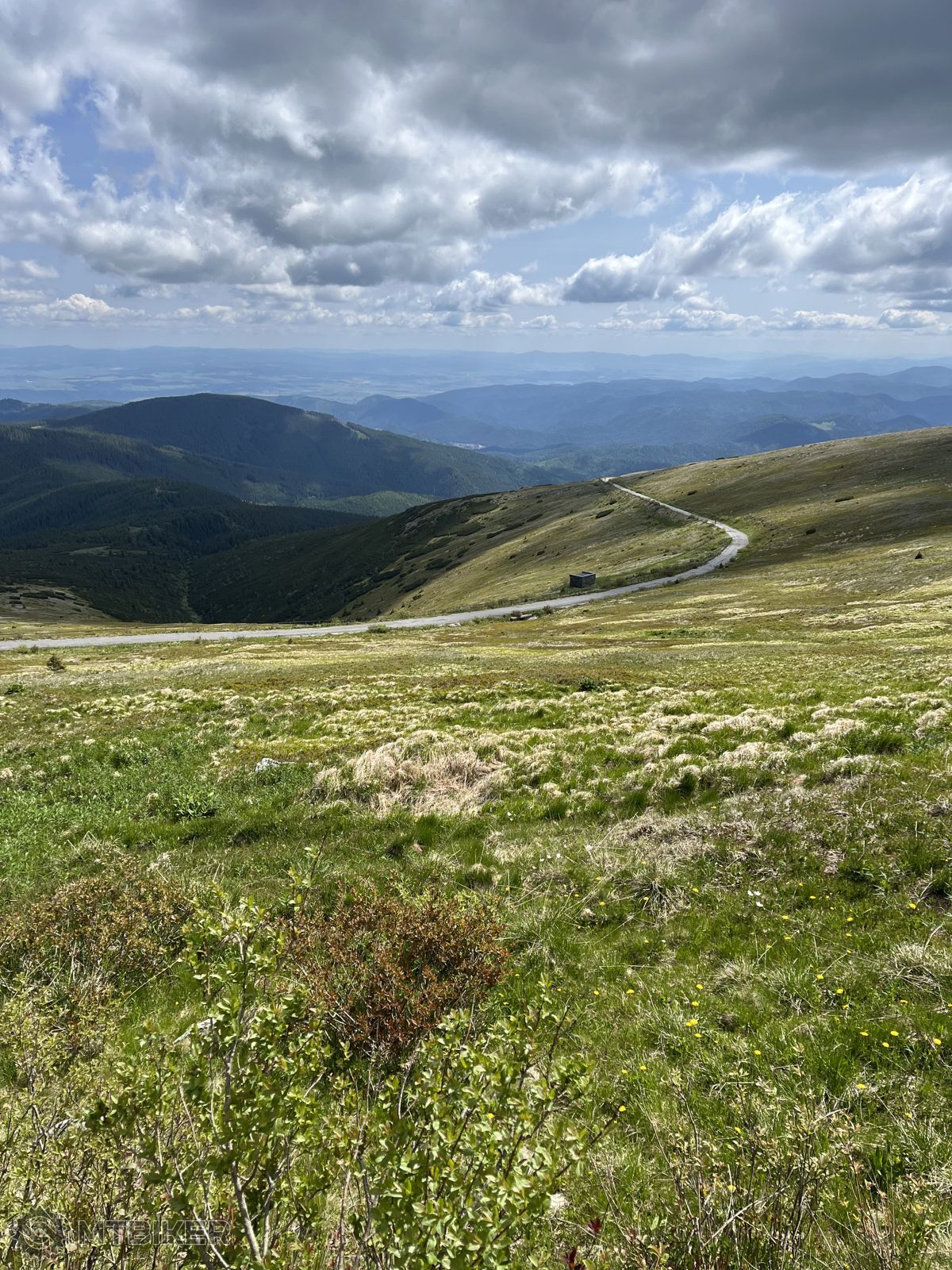 Kráľovská časovka 2025, MTBIKER, OZ MTEVENT, časovka do vrchu
