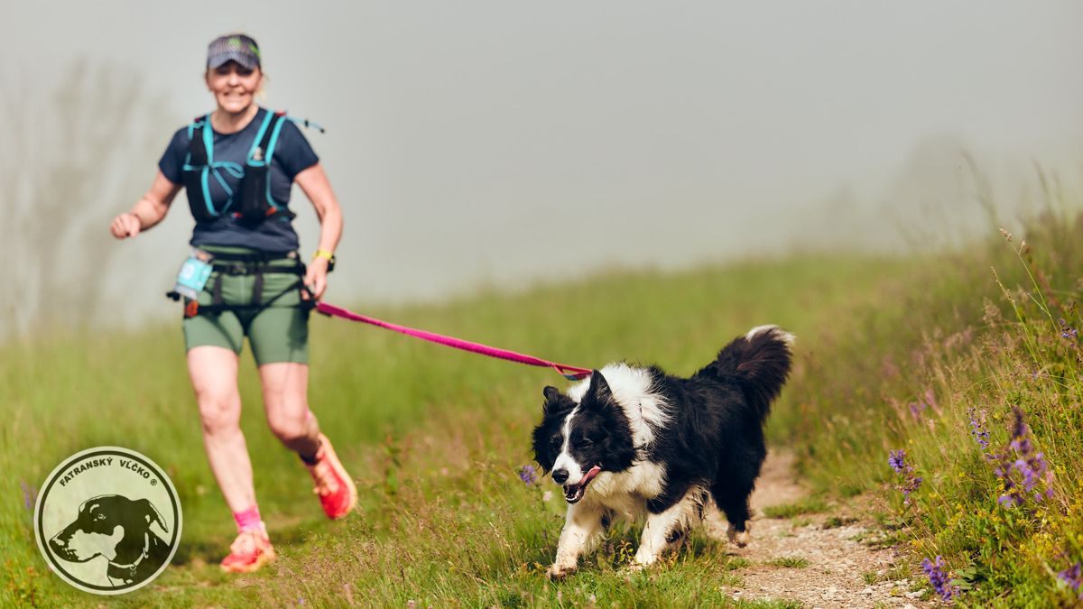 Autor foto: Lukáš Hodoň Dogtrekking Fatranský Vĺčko, 2025, reportáž