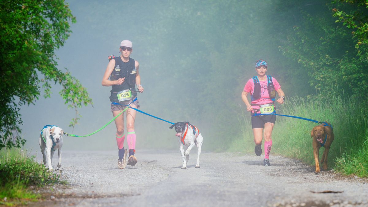 Zdroj foto: fotoo.sk Dogtrekking Fatranský Vĺčko, 2025, reportáž