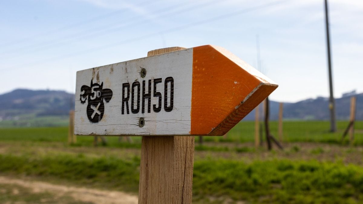 Lidka Polišenská ROHálovská 50 2025