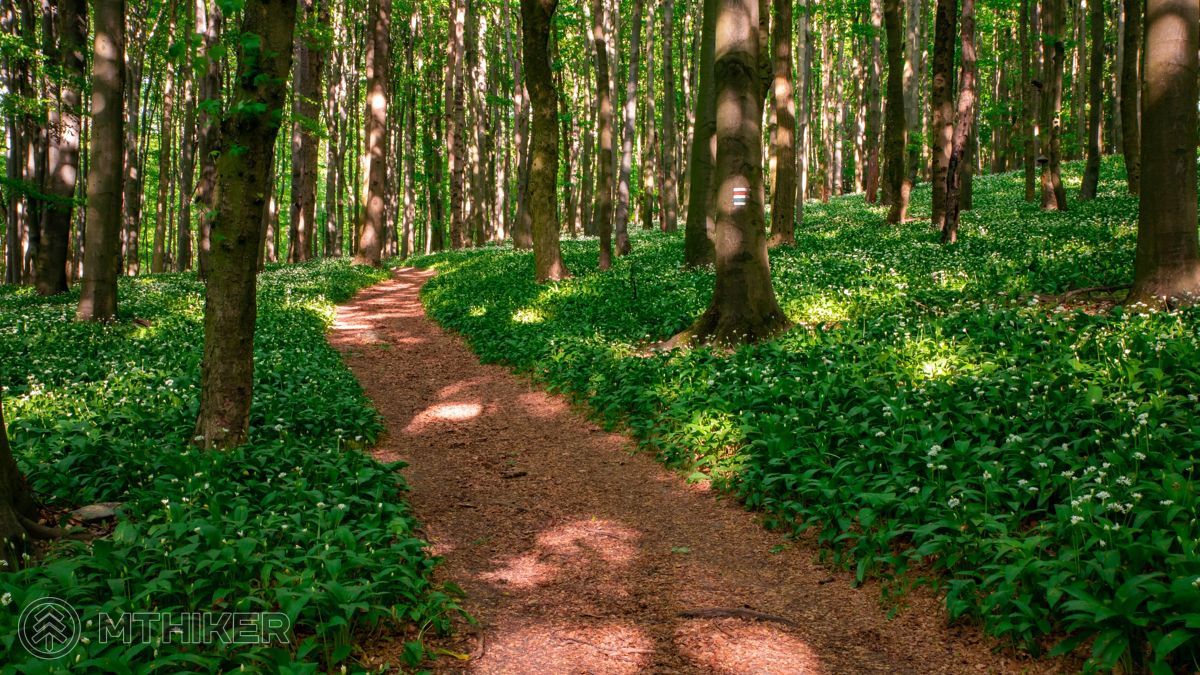 Červená a modrá turistická značka turistická trasa, turistický chodník, značkovaný turistický chodník, turistická značka