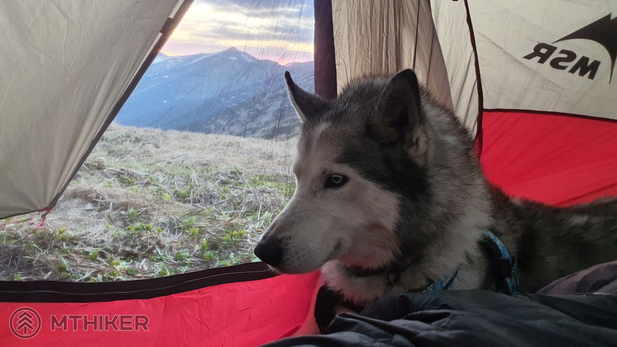 Naše najobľúbenejšie spanie v MSR stane v stane so psom, kemping, camping