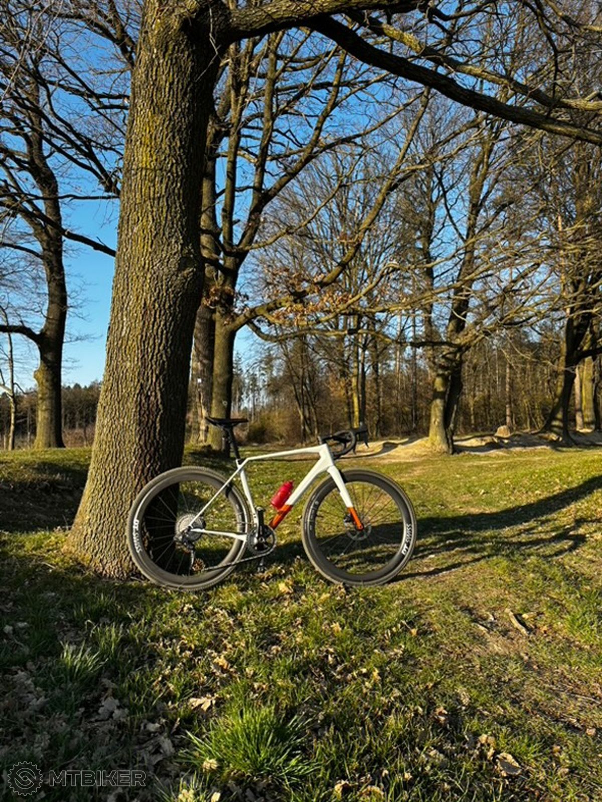 bicykel v lese