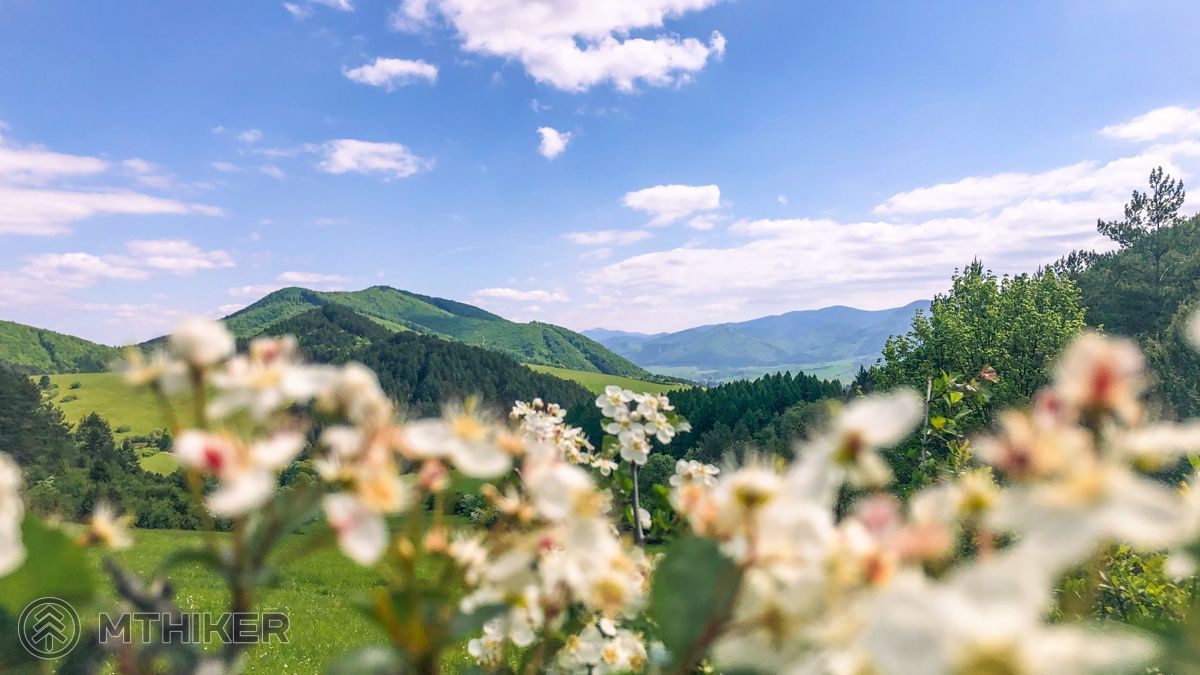 Nakoniec aj výhľady z lúky nie sú zlé príroda, hory, kvety, výhľad, turistika, lúka