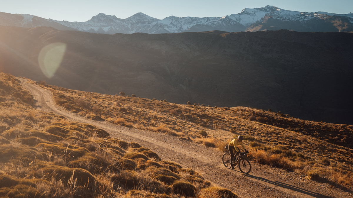 Orbea ebike
