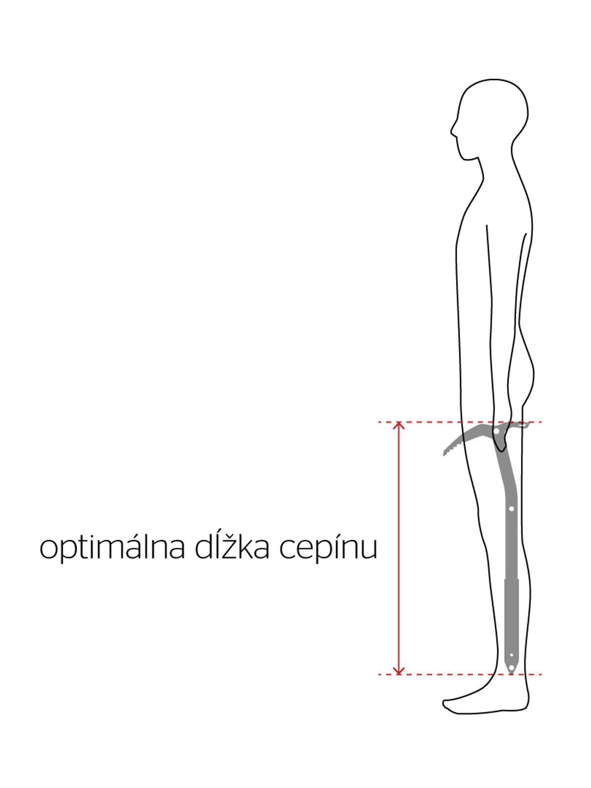 Obrázok zobrazujúci aká má byť ideálna dĺžka turistického cepína