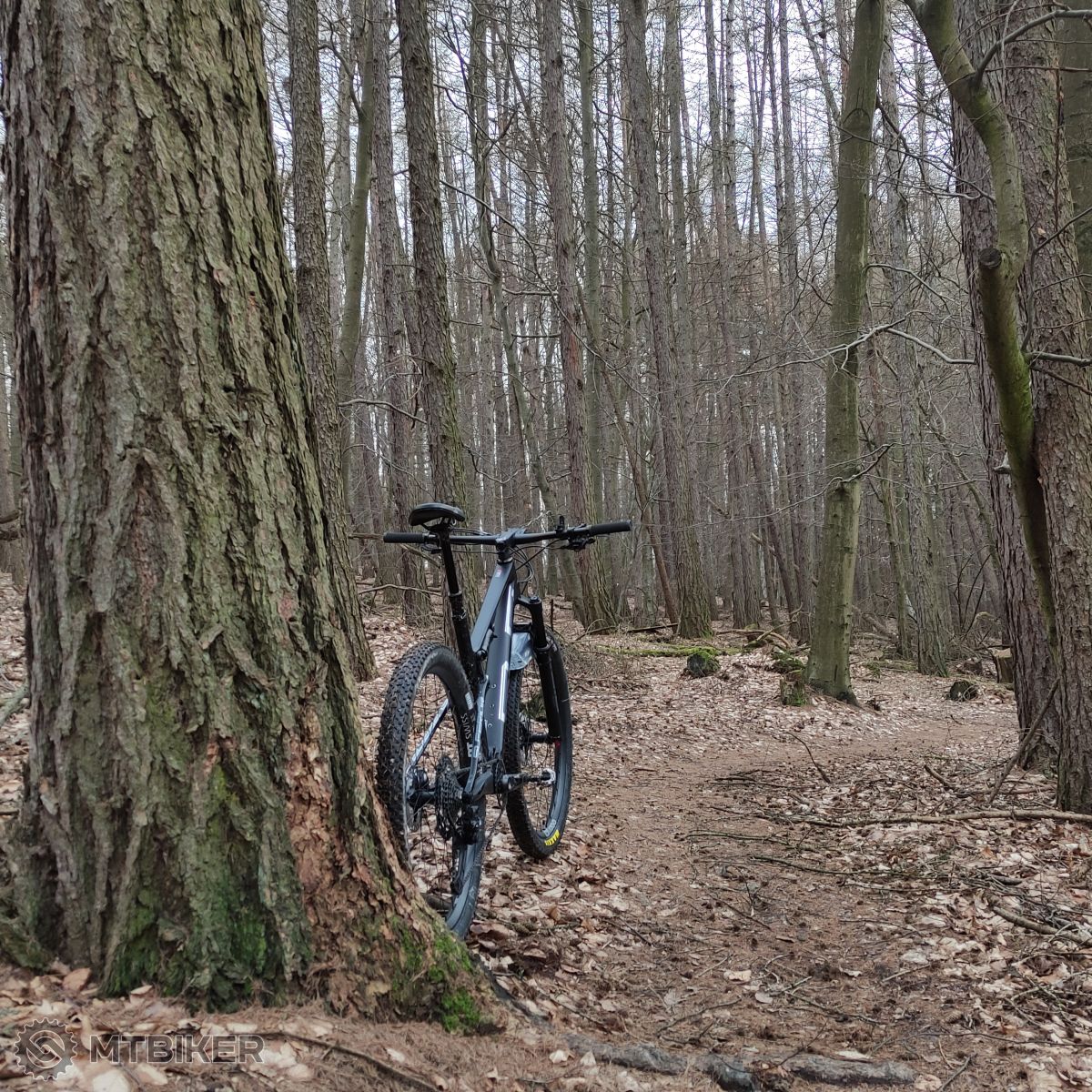 Trail v okolí Bratislavy, Záhorie
