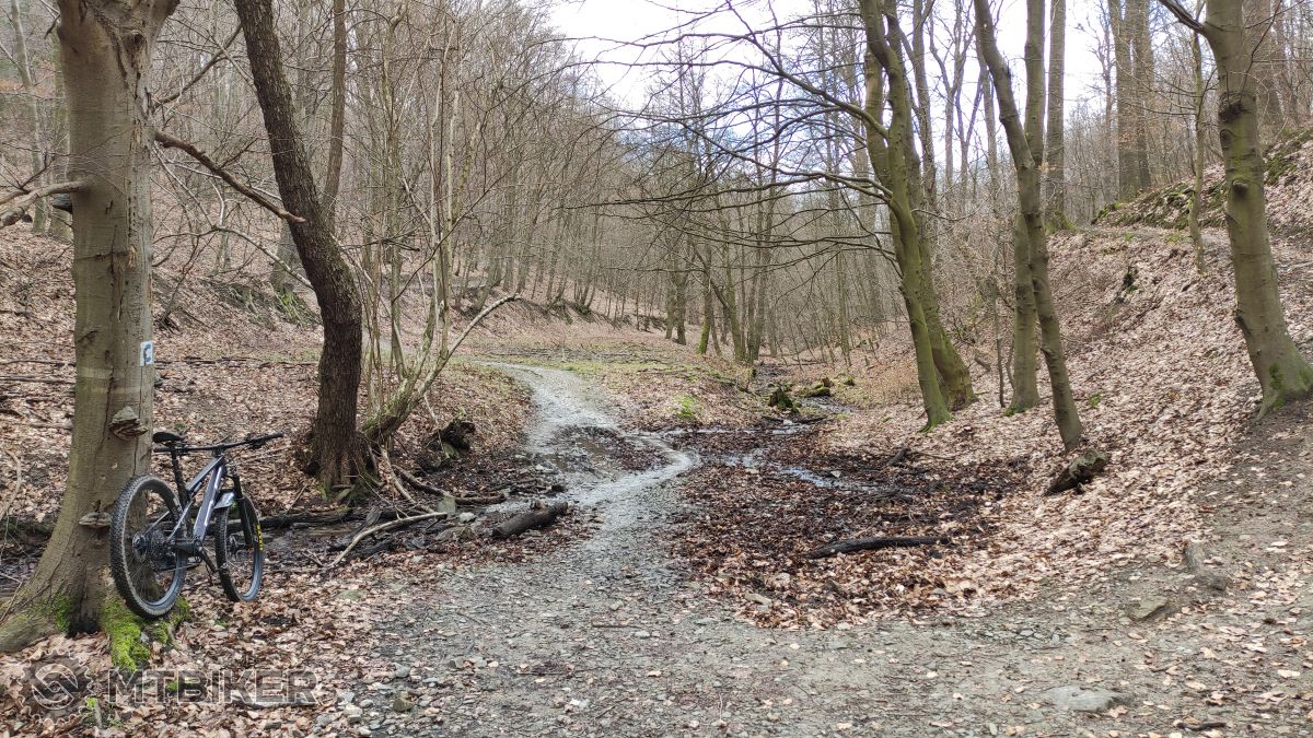 Trail pre začiatočníkov v okolí Bratislavy