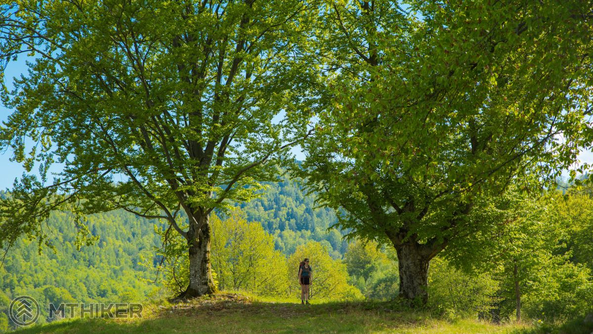 cesta Márie Széchy, magistrála Márie Széchy, Muránska planina, Stolické vrchy