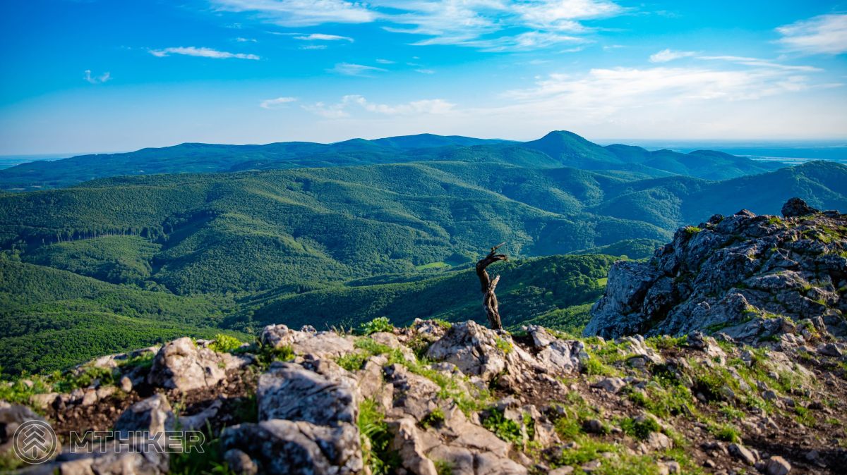 Hrebeňovka Malých Karpát (súčasť Štefánikovej magistrály) viacdňová turistika, magistrála, diaľkové treky, hrebeňovky, Malé Karpaty