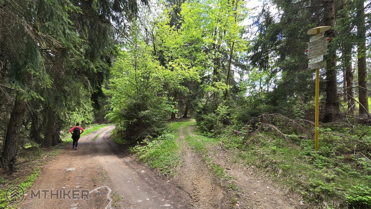 Ukážka štandardného terénu na trase, Nad Ďurkáčovcami ukážka štandardného terénu na trase, Nad Ďurkáčovcami