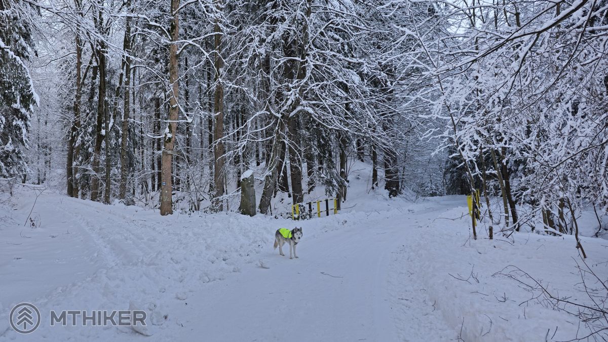 Beskydy, Lysá hora, zimná turistika, rodinný výlet