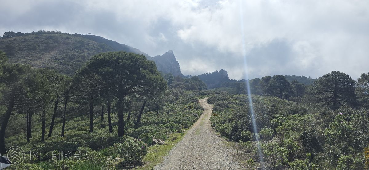 Los Castellones Los Castellones