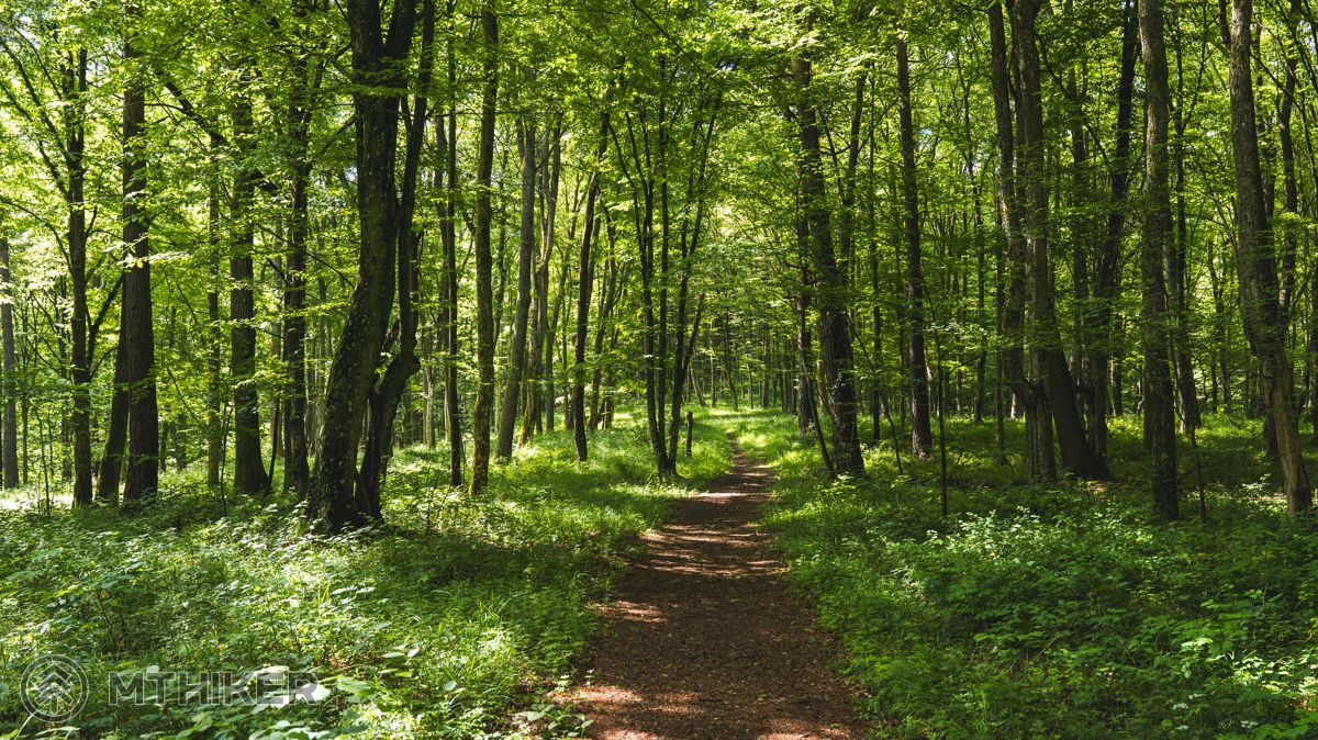 Slovenský kras, Silická planina, Brzotínska skala, Dievčenská skala