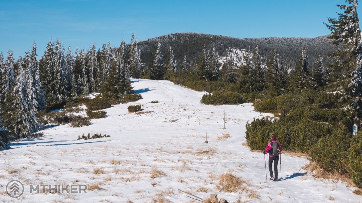 Úsek hrebeňa pri Andrejcovej Nízke Tatry, hrebeň Nízkych Tatier, Veľká Vápenica, Andrejcová, útulňa Andrejcová